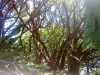 dsc00052