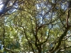 dsc00056