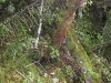 img_1625