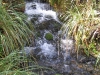 img_1641