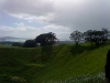 dsc00021