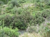 img_1324
