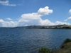 Taupo